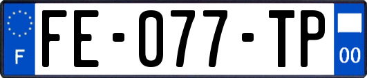 FE-077-TP