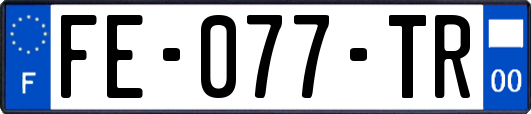 FE-077-TR