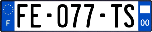 FE-077-TS