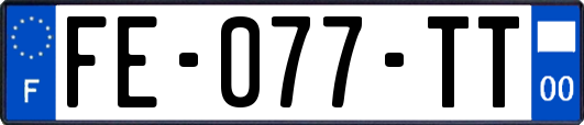 FE-077-TT