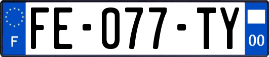 FE-077-TY