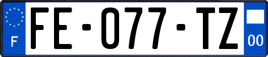 FE-077-TZ