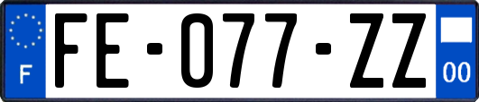 FE-077-ZZ