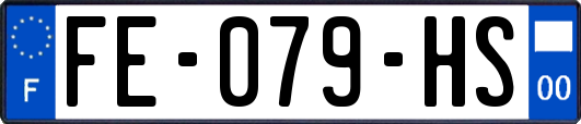 FE-079-HS