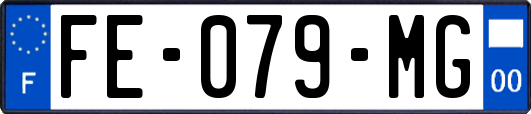 FE-079-MG
