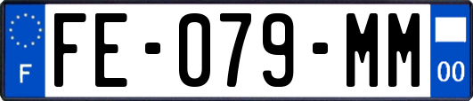 FE-079-MM