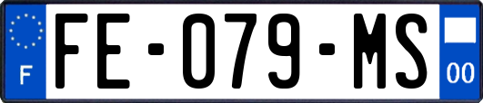 FE-079-MS