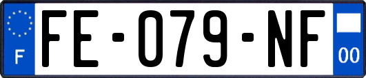 FE-079-NF