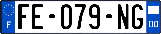 FE-079-NG
