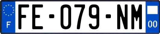FE-079-NM