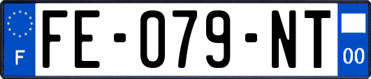 FE-079-NT