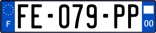 FE-079-PP