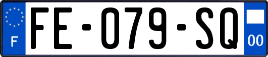 FE-079-SQ
