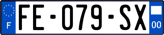 FE-079-SX