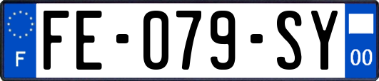 FE-079-SY