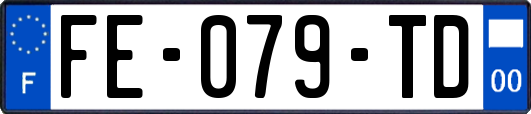 FE-079-TD