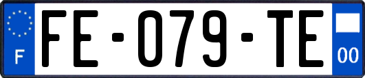 FE-079-TE