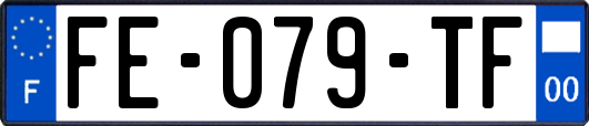 FE-079-TF