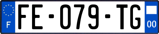 FE-079-TG