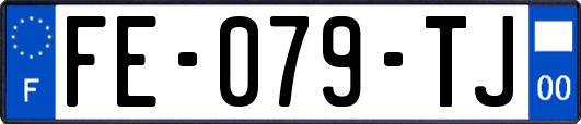 FE-079-TJ