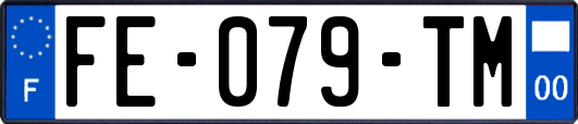 FE-079-TM