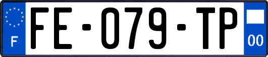 FE-079-TP