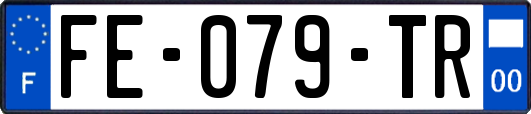 FE-079-TR