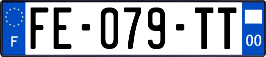 FE-079-TT
