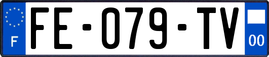 FE-079-TV