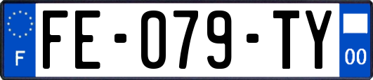 FE-079-TY