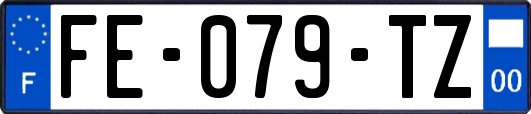FE-079-TZ