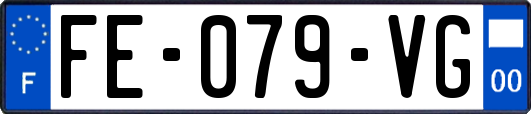 FE-079-VG