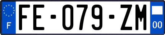 FE-079-ZM