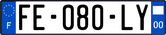FE-080-LY