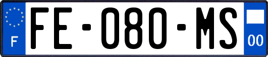FE-080-MS