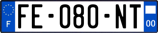 FE-080-NT