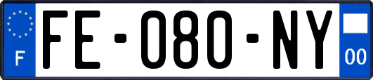 FE-080-NY