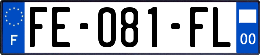 FE-081-FL