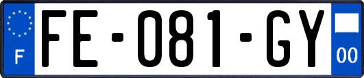 FE-081-GY