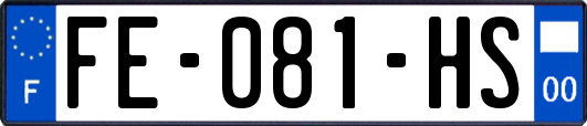 FE-081-HS