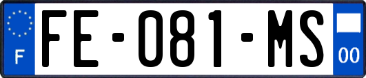 FE-081-MS