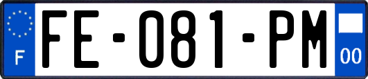 FE-081-PM
