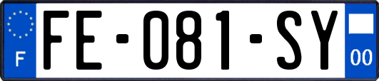 FE-081-SY