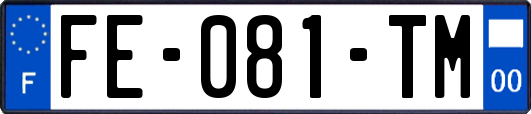 FE-081-TM