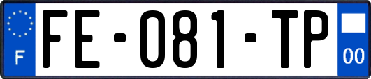 FE-081-TP