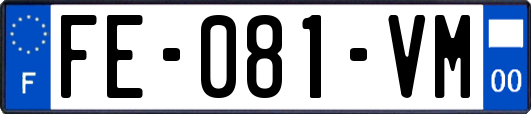 FE-081-VM