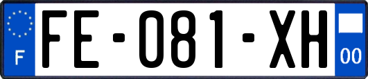 FE-081-XH