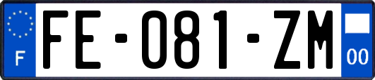 FE-081-ZM