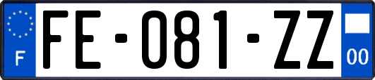 FE-081-ZZ