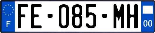FE-085-MH